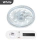 🌞50% Rabatt!💡2-in-1 dimmbare Deckenventilatorlampe mit Fernbedienung – Leise, verstellbar und platzsparend