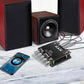 🔊🎵Bluetooth-kompatibles 2.1-Kanal-Audio-Leistungsverstärkermodul📡 Drahtlose Verbindung, kraftvoller Klang, ideal für Musikliebhaber!