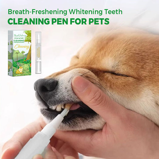 ⌛ Nur noch 3 Tage – 50 % auf alles! ⏰ Haustier-Atemfreshener Whitening Cleaning Pen