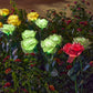 🌹🕯️ Gedenk-Solar-Rosenlichter | Warmes Licht zur Erinnerung an Ihre Liebsten 💛