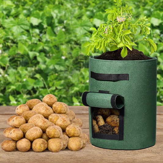Stoff-Anzuchtbeutel für Kartoffeln mit Erntefenster