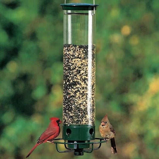 Neuer Frühling 2024-Eichhörnchensicheres Vogelfutterhaus